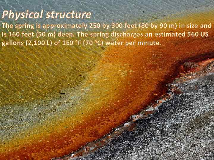 Physical structure The spring is approximately 250 by 300 feet (80 by 90 m)