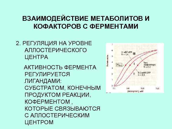 ВЗАИМОДЕЙСТВИЕ МЕТАБОЛИТОВ И КОФАКТОРОВ С ФЕРМЕНТАМИ 2. РЕГУЛЯЦИЯ НА УРОВНЕ АЛЛОСТЕРИЧЕСКОГО ЦЕНТРА АКТИВНОСТЬ ФЕРМЕНТА