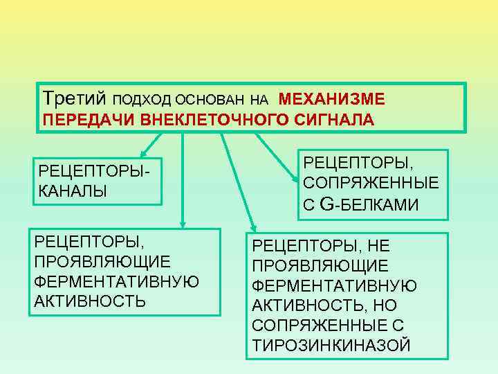 Третий ПОДХОД ОСНОВАН НА МЕХАНИЗМЕ ПЕРЕДАЧИ ВНЕКЛЕТОЧНОГО СИГНАЛА РЕЦЕПТОРЫКАНАЛЫ РЕЦЕПТОРЫ, ПРОЯВЛЯЮЩИЕ ФЕРМЕНТАТИВНУЮ АКТИВНОСТЬ РЕЦЕПТОРЫ,