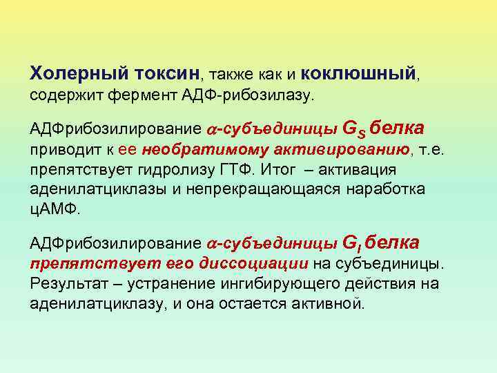 Холерный токсин, также как и коклюшный, содержит фермент АДФ-рибозилазу. АДФрибозилирование -субъединицы GS белка приводит