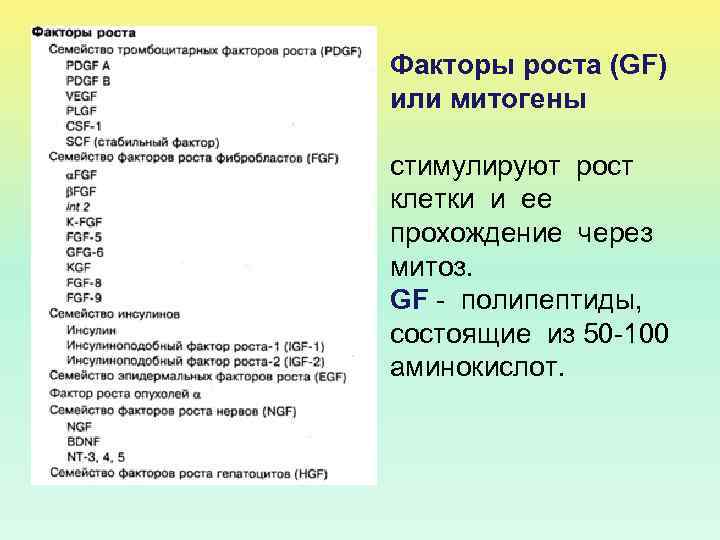 Факторы роста (GF) или митогены стимулируют рост клетки и ее прохождение через митоз. GF