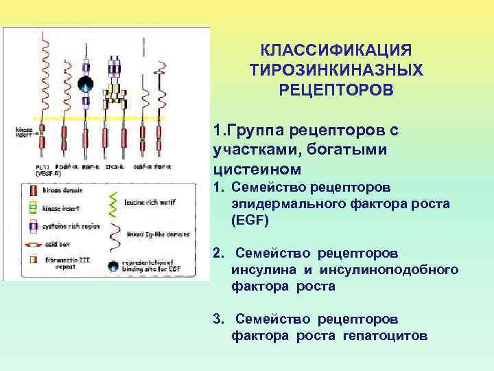 Действия рецепторов