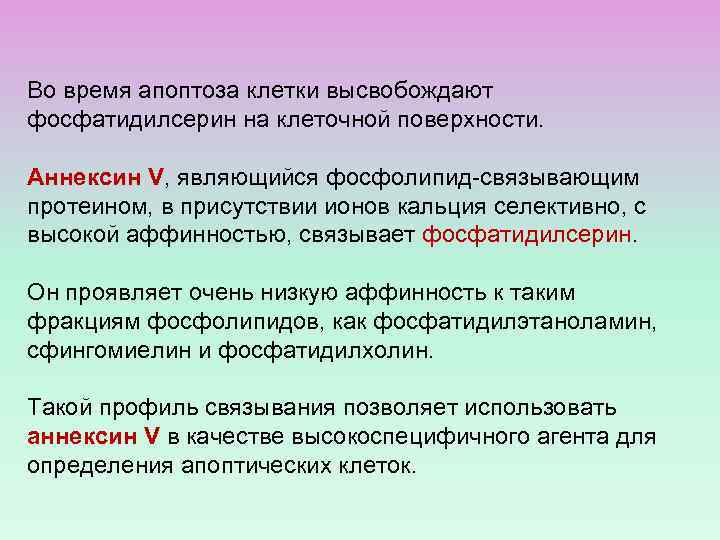 Во время апоптоза клетки высвобождают фосфатидилсерин на клеточной поверхности. Аннексин V, являющийся фосфолипид-связывающим протеином,