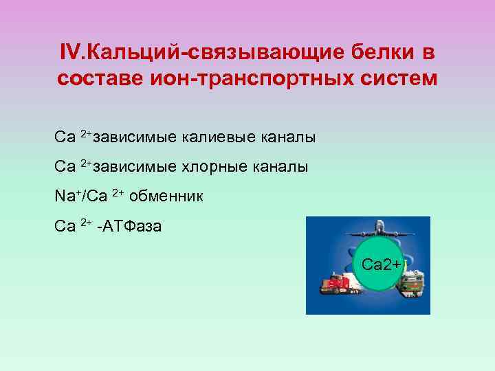IV. Кальций-связывающие белки в составе ион-транспортных систем Са 2+зависимые калиевые каналы Са 2+зависимые хлорные