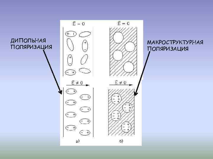 ДИПОЛЬНАЯ ПОЛЯРИЗАЦИЯ МАКРОСТРУКТУРНАЯ ПОЛЯРИЗАЦИЯ 