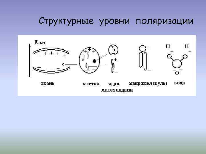 Структурные уровни поляризации 