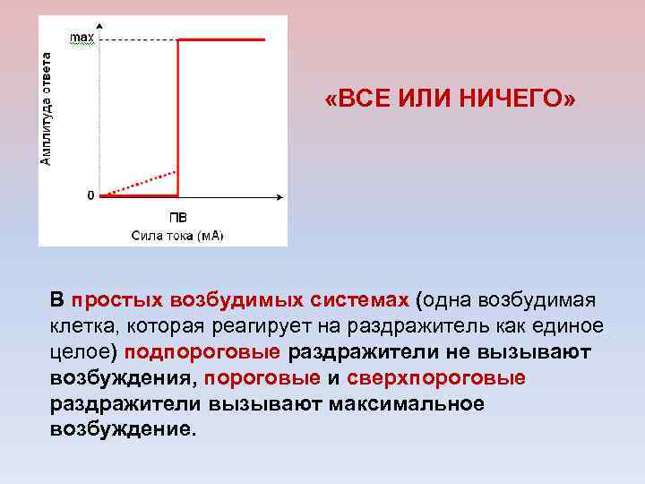  «ВСЕ ИЛИ НИЧЕГО» В простых возбудимых системах (одна возбудимая клетка, которая реагирует на