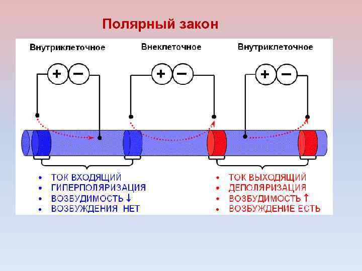 Полярный закон 