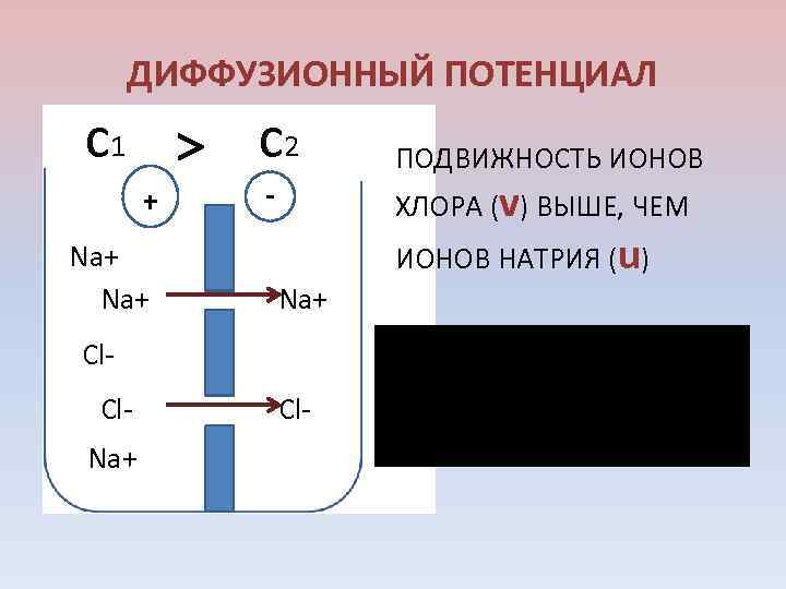 ДИФФУЗИОННЫЙ ПОТЕНЦИАЛ c 1 c 2 + Na+ ХЛОРА (v) ВЫШЕ, ЧЕМ Na+ Cl.