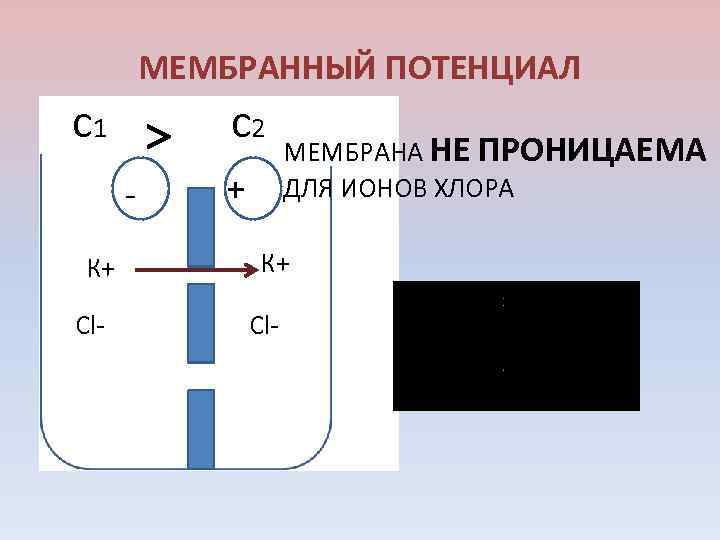 Мембранный потенциал