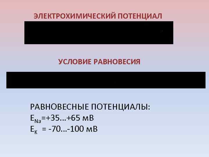 ЭЛЕКТРОХИМИЧЕСКИЙ ПОТЕНЦИАЛ УСЛОВИЕ РАВНОВЕСИЯ РАВНОВЕСНЫЕ ПОТЕНЦИАЛЫ: ENa=+35…+65 м. В EK = -70…-100 м. В