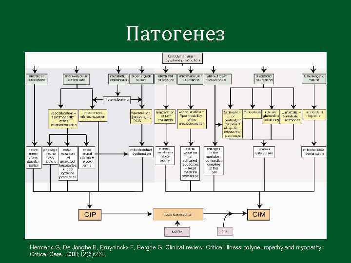 Патогенез Hermans G, De Jonghe B, Bruyninckx F, Berghe G. Clinical review: Critical illness