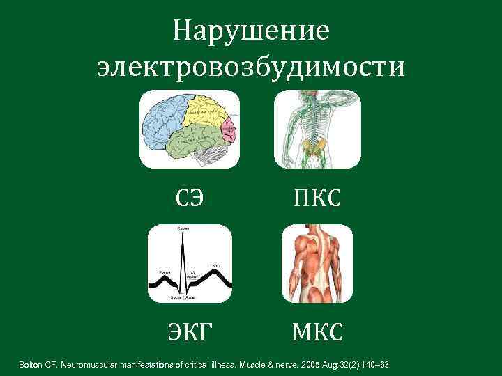 Электровозбудимость Нарушение электровозбудимости СЭ ПКС ЭКГ МКС Bolton CF. Neuromuscular manifestations of critical illness.