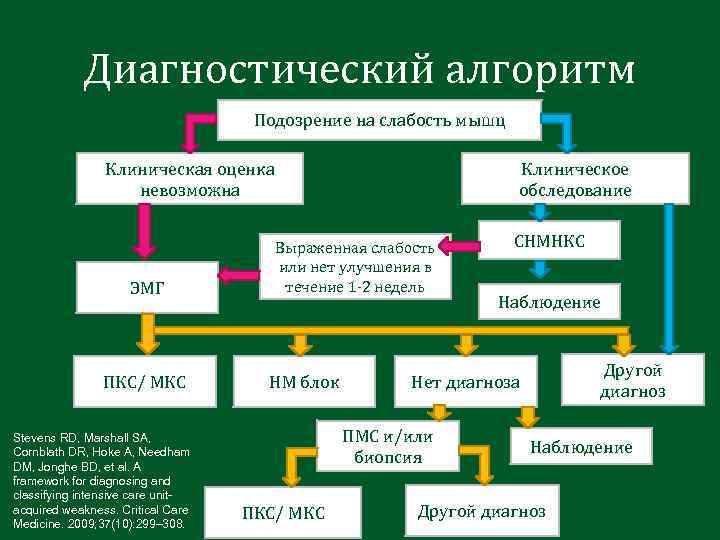 Диагностический алгоритм Подозрение на слабость мышц Клиническая оценка невозможна ЭМГ ПКС/ МКС Stevens RD,