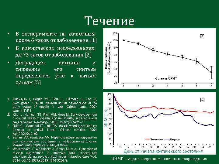 Течение • • • В эксперименте на животных: после 6 часов от заболевания [1]