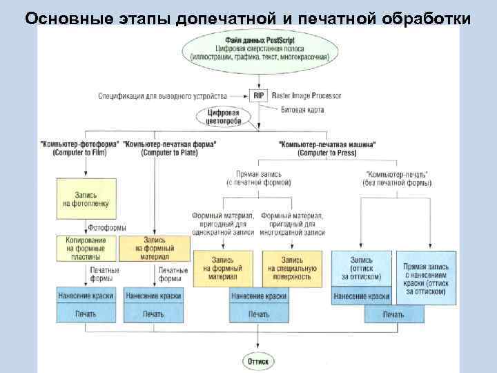 Основные этапы допечатной и печатной обработки 