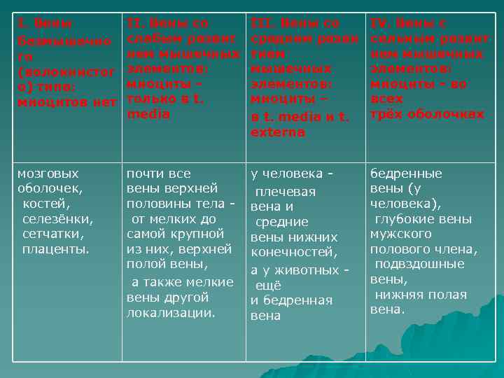 I. Вены безмышечно го (волокнистог о) типа: миоцитов нет II. Вены со слабым развит