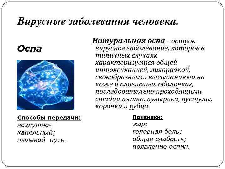 Вирусные заболевания человека. Оспа Способы передачи: воздушнокапельный; пылевой путь. Натуральная оспа - острое вирусное