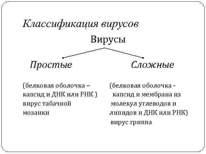 Классификация вирусов Вирусы Простые (белковая оболочка – капсид и ДНК или РНК ) вирус