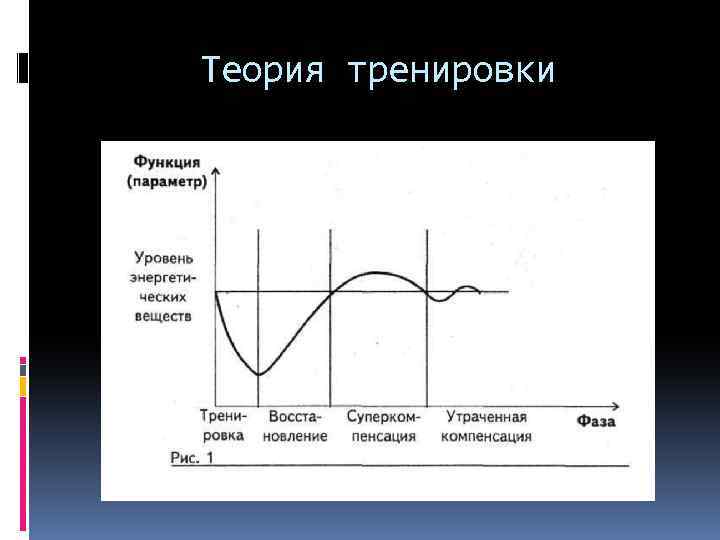 Теория тренировки 