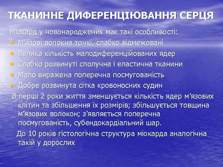 ТКАНИННЕ ДИФЕРЕНЦІЮВАННЯ СЕРЦЯ Міокард у новонароджених має такі особливості: • М’язові волокна тонкі, слабко