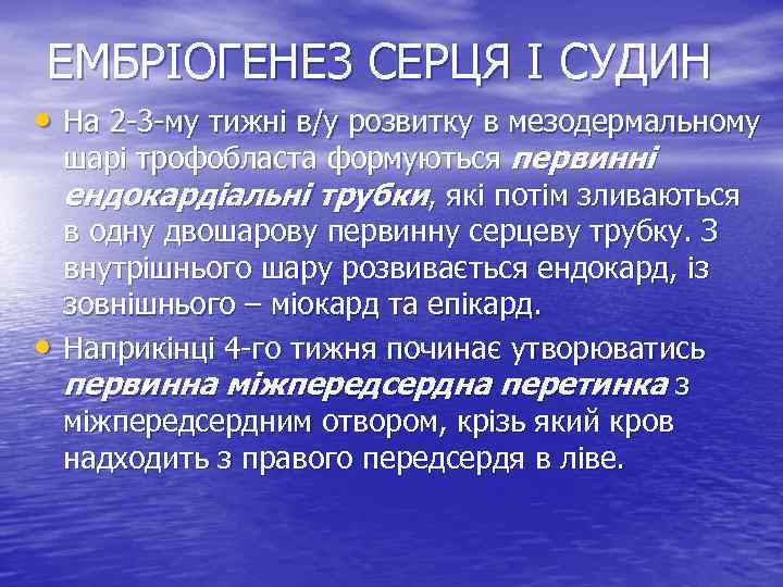 ЕМБРІОГЕНЕЗ СЕРЦЯ І СУДИН • На 2 -3 -му тижні в/у розвитку в мезодермальному