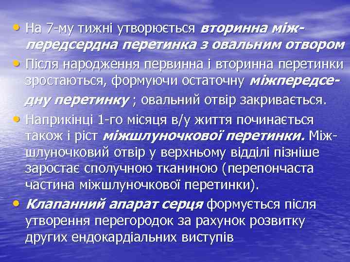  • На 7 -му тижні утворюється вторинна між- передсердна перетинка з овальним отвором