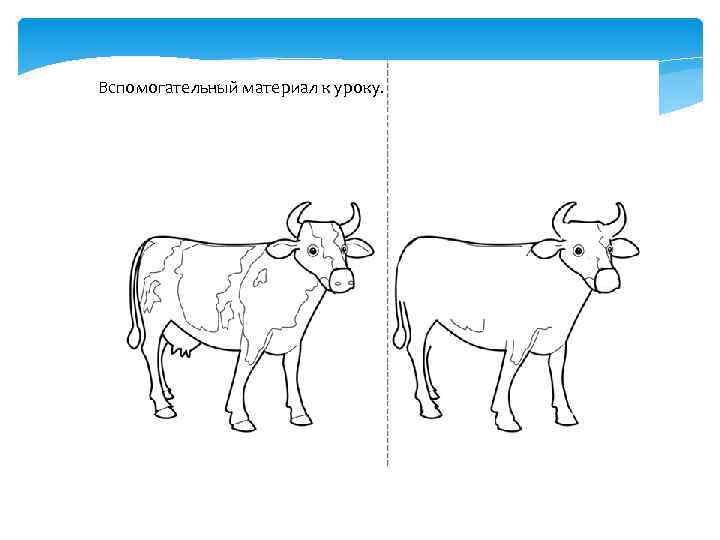 Вспомогательный материал к уроку. 