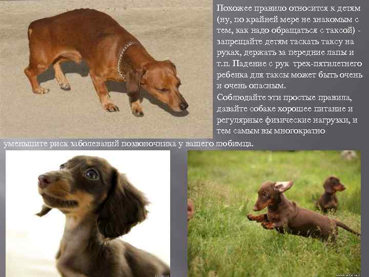 Похожее правило относится к детям (ну, по крайней мере не знакомым с тем, как