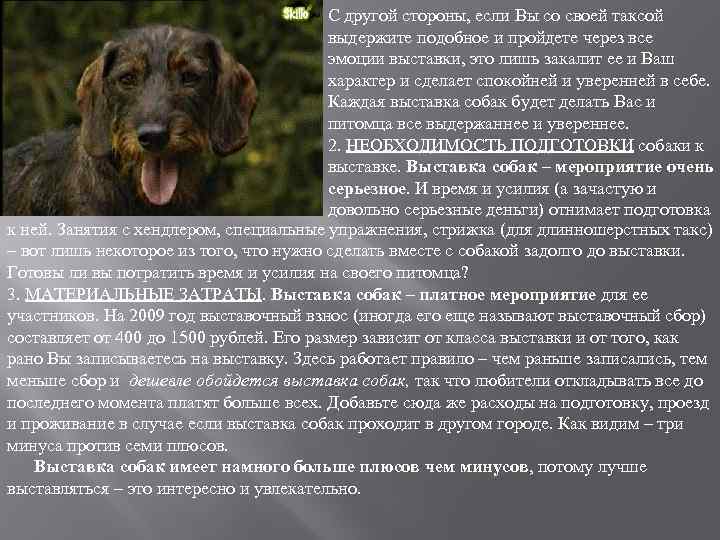 С другой стороны, если Вы со своей таксой выдержите подобное и пройдете через все