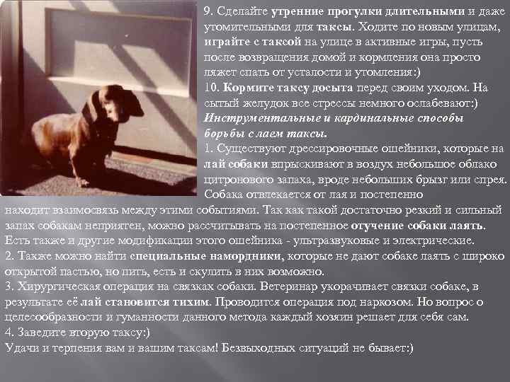 9. Сделайте утренние прогулки длительными и даже утомительными для таксы. Ходите по новым улицам,