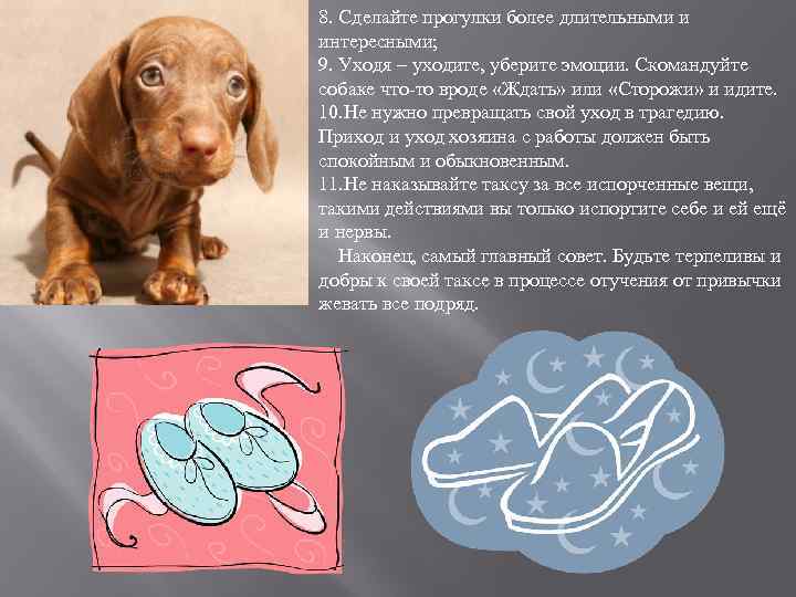 8. Сделайте прогулки более длительными и интересными; 9. Уходя – уходите, уберите эмоции. Скомандуйте