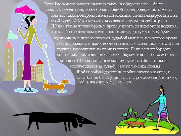 Если Вы хотите завести именно таксу, и обдумываете – брать щеночка подешевле, но без