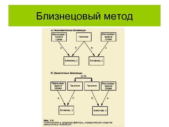Близнецовый метод 