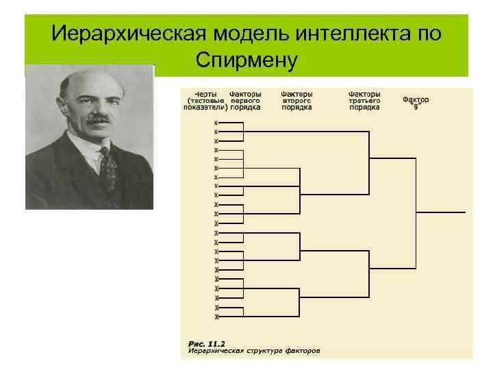 Иерархическая модель интеллекта по Спирмену 