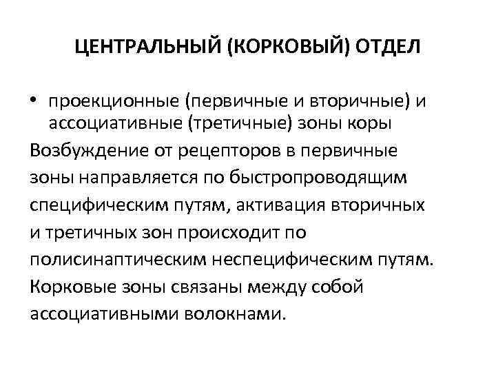 ЦЕНТРАЛЬНЫЙ (КОРКОВЫЙ) ОТДЕЛ • проекционные (первичные и вторичные) и ассоциативные (третичные) зоны коры Возбуждение
