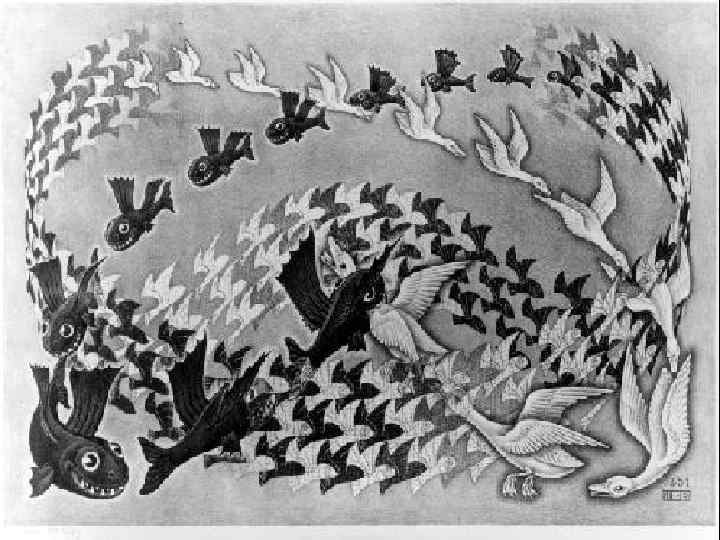 М. К. Эшер Неоднократно рисовал метаморфозы, происходящие с живыми существами (птицы превращаются у него