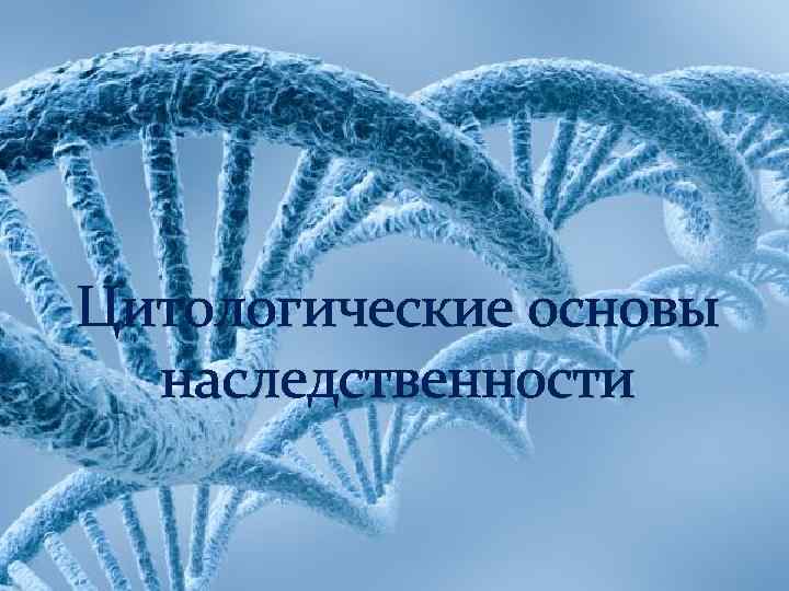 Цитологические основы наследственности 