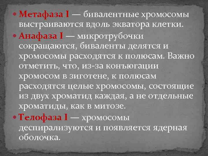  Метафаза I — бивалентные хромосомы выстраиваются вдоль экватора клетки. Анафаза I — микротрубочки