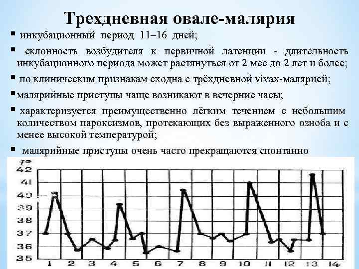 Трехдневная овале-малярия § инкубационный период 11– 16 дней; § склонность возбудителя к первичной латенции