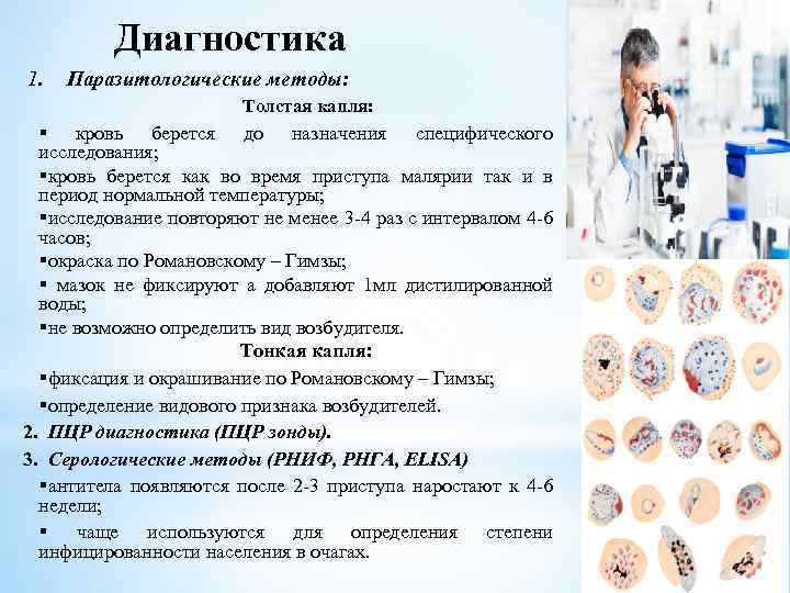 Диагностика 1. Паразитологические методы: Толстая капля: § кровь берется до назначения специфического исследования; §кровь
