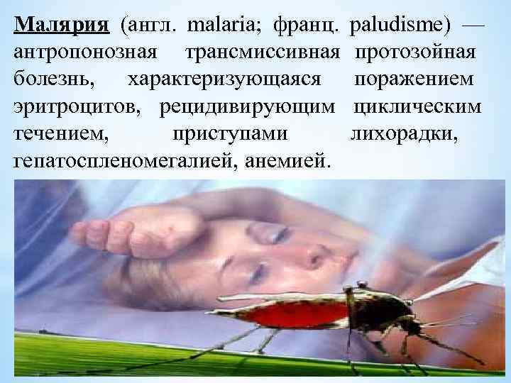 Малярия (англ. malaria; франц. антропонозная трансмиссивная болезнь, характеризующаяся эритроцитов, рецидивирующим течением, приступами гепатоспленомегалией, анемией.