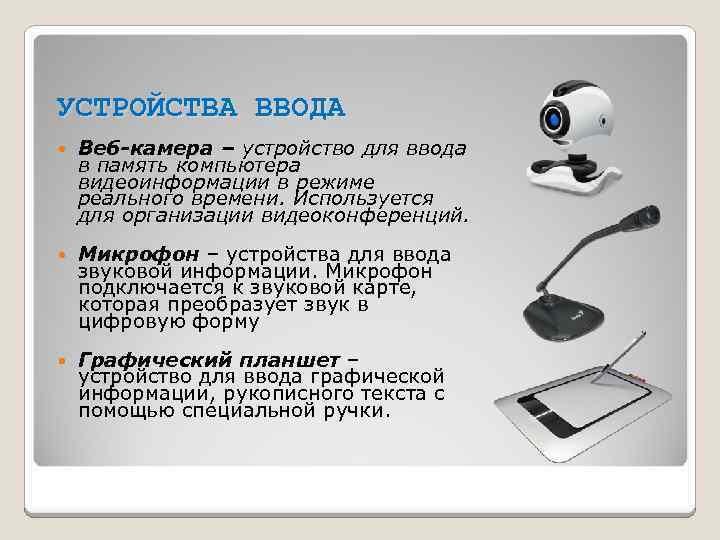 Какое устройство предназначено для ввода рисунков и рукописного ввода