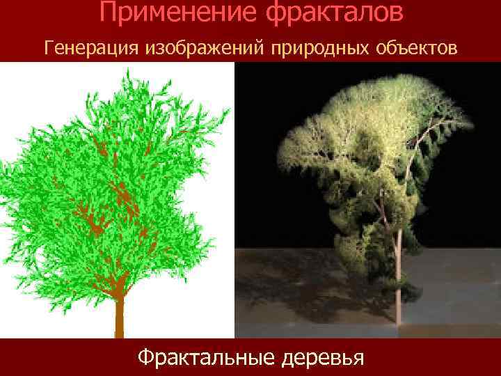 Применение фракталов. Фрактальное дерево генерация. Применение фрактального изображения. Применение фракталов в медицине.