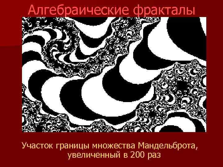 Алгебраические фракталы Участок границы множества Мандельброта, увеличенный в 200 pаз 