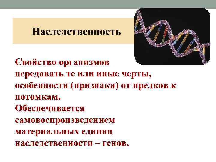 Наследственность Свойство организмов передавать те или иные черты, особенности (признаки) от предков к потомкам.