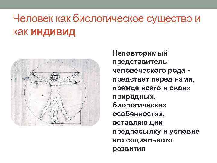 Человек как биологическое существо и как индивид Неповторимый представитель человеческого рода предстает перед нами,