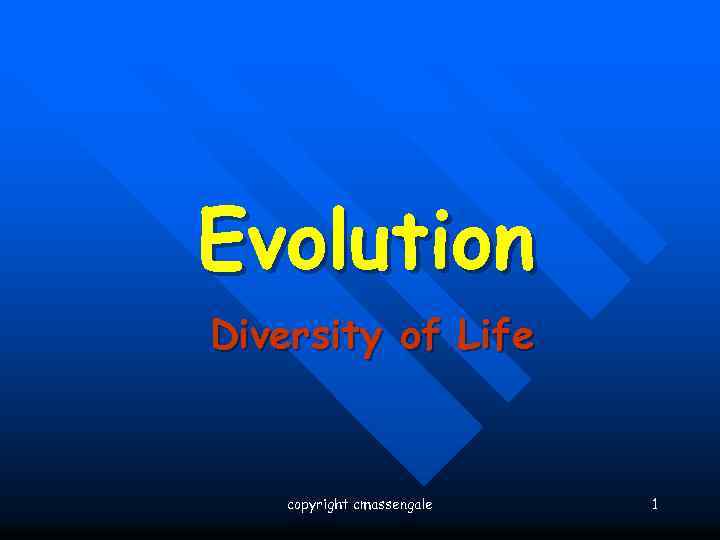 Evolution Diversity of Life copyright cmassengale 1 