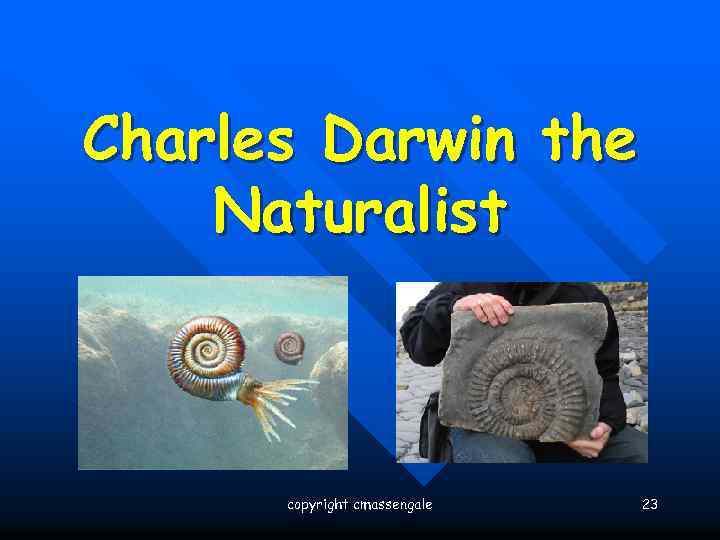 Charles Darwin the Naturalist copyright cmassengale 23 