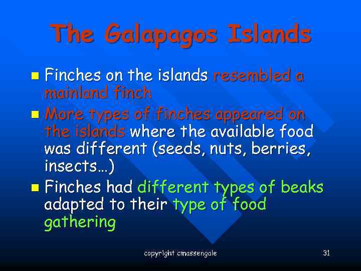 The Galapagos Islands Finches on the islands resembled a mainland finch n More types